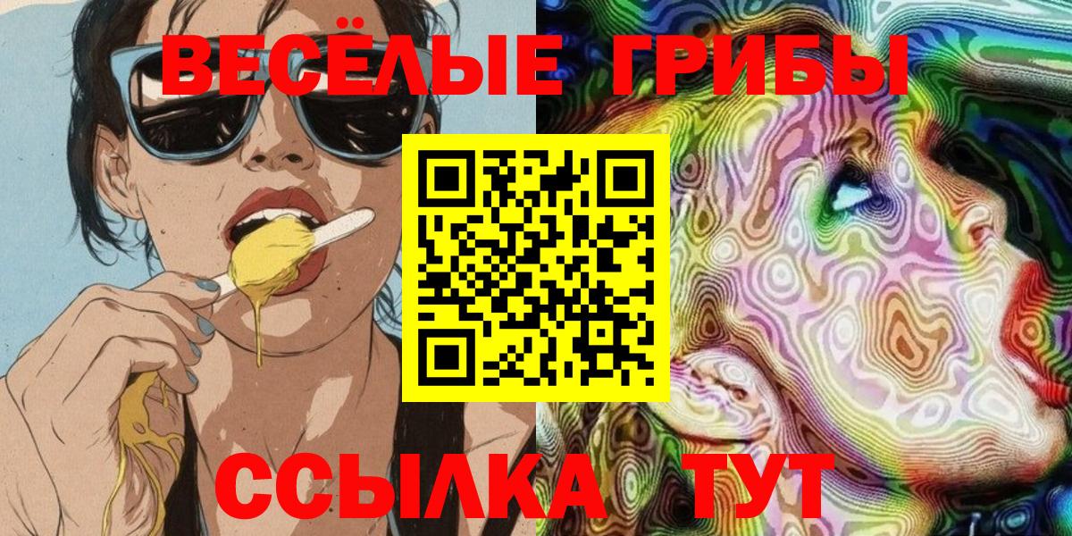 Сланцы  Галлюциногенные грибы Psilocybine cubensis  Вход с VPN 
